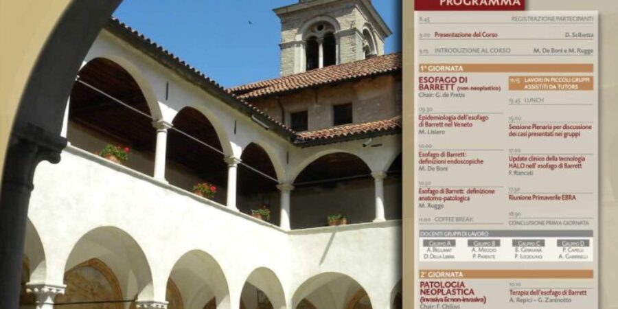 2881_loc_50x70-esofago-feltre_BIG 2881_loc_50x70-esofago-feltre_BIG