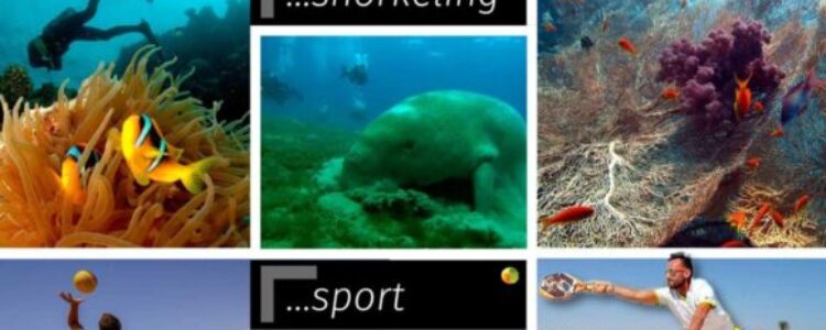 5265_display_120x203_ok-2-1162x2048